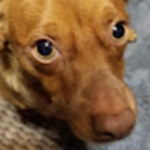 Meet your Posher, Rick